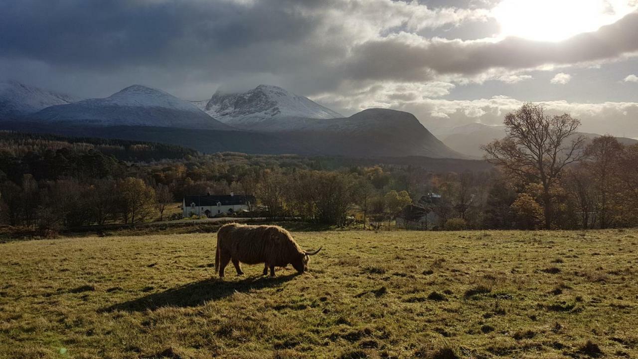 Birch Lodge Fort William Kültér fotó